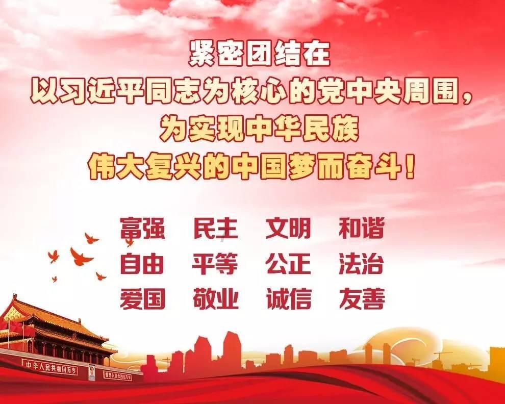 忍者鲨鱼