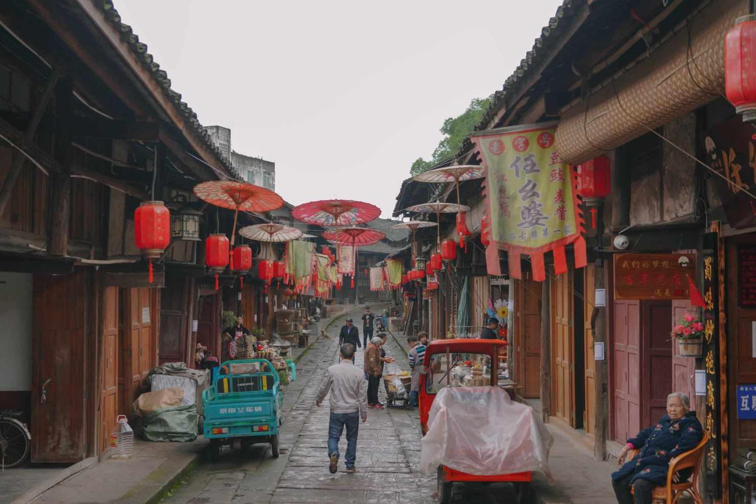 救援可爱的狮子